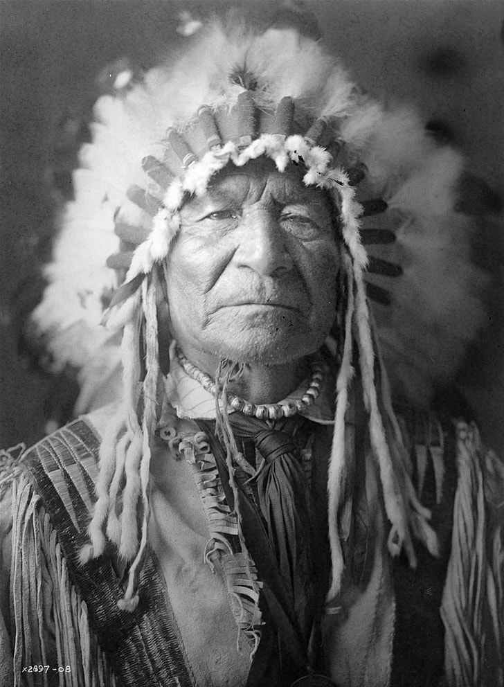 grayscale photography of male native American