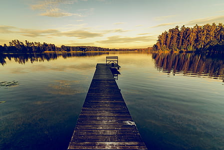 Brown Wooden Dock during Daylight