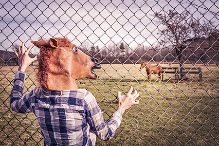 person with horse mask watching brown horse during daytime