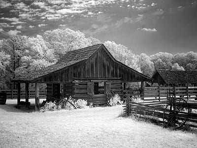 grayscale photo of black wooden house