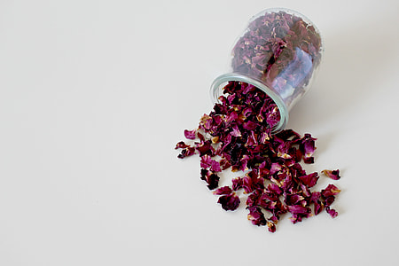 purple petaled flowers in clear glass bowl