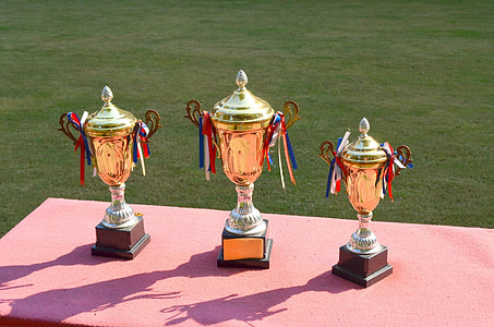 three gold-colored trophies on table