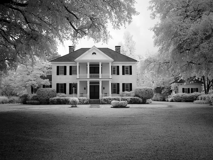 greyscale photography of house surrounded with trees