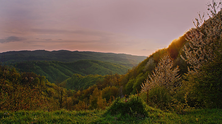 landscape photography of green mountains and trees
