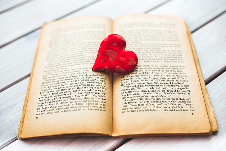 red heart decor on books