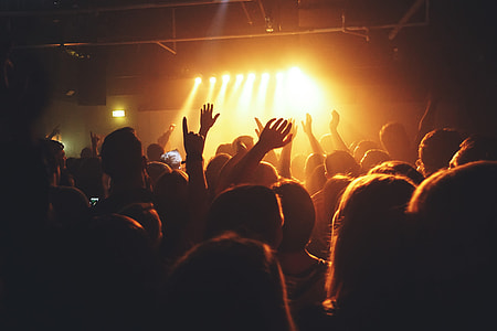 A crowd of people at a music concert