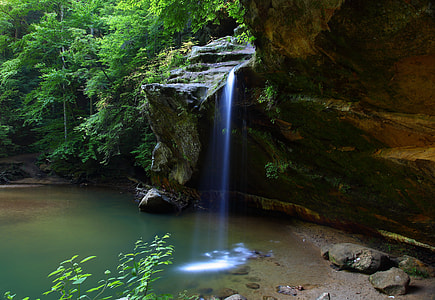 waterfall surrounding tree during daytime