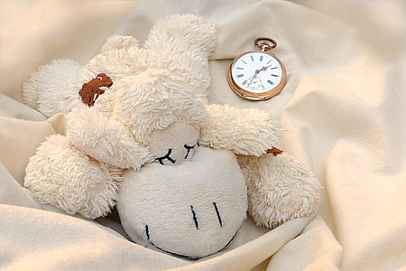 white sheep plush toy and gold-colored pocket watch