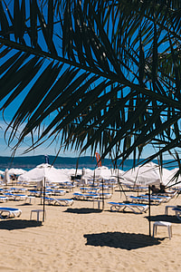 Umbrellas and lounge chairs on Sunny Beach, Bulgaria