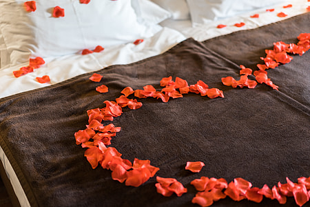 Romantic and Lovely Bed of Roses Petals