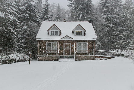 snow covered house near the forest