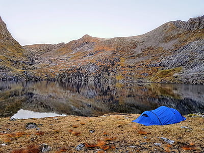 blue camping tent near lake water