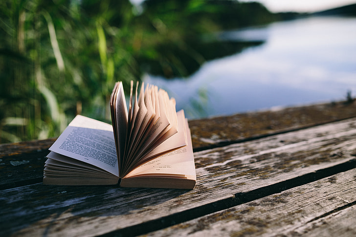 Reading book at lake