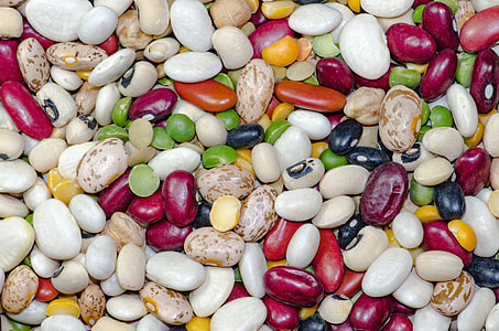 assorted-color bean lot