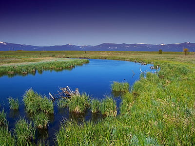 body of water beside green grass field under clear sky during daytime