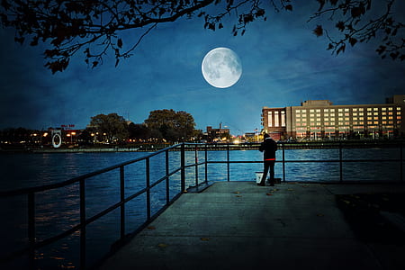 person standing near the railing while staring at the moon