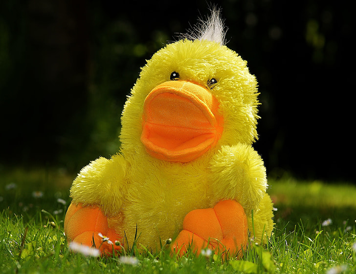 yellow duck plush toy on green grass