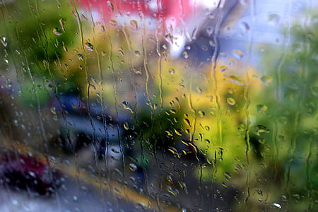 selective photography of rain drops