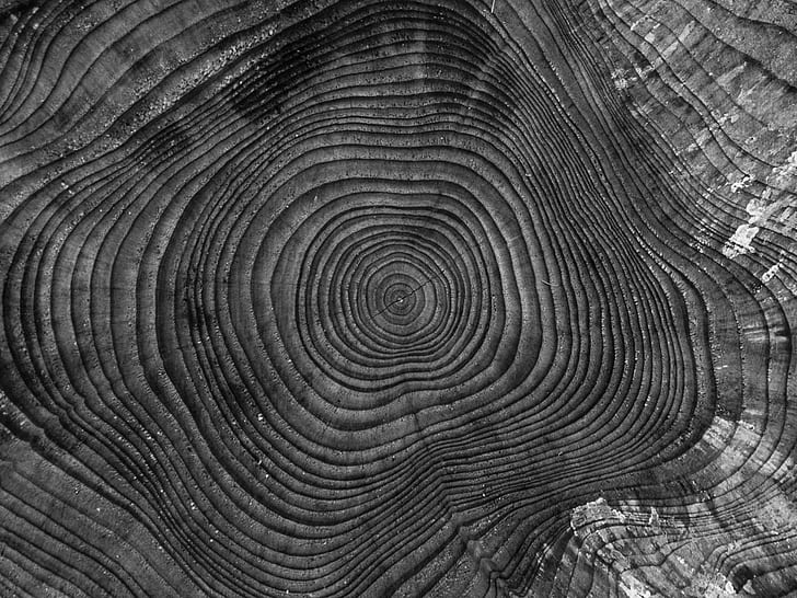 closeup photography of spiral illusion
