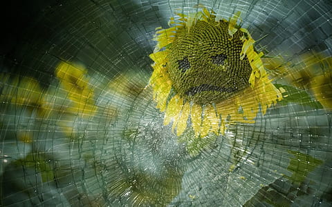 yellow sunflower with face on broken glass illustration
