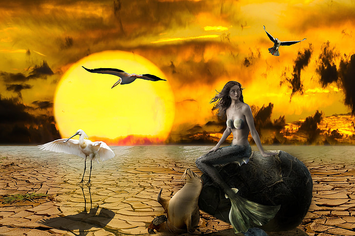 mermaid sitting on rock beside seal and white stork golden hour illustration