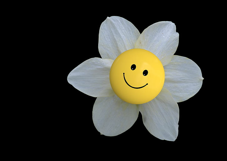 white petaled flower with emoji closeup photo