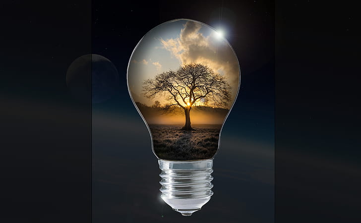light bulb with tree artwork