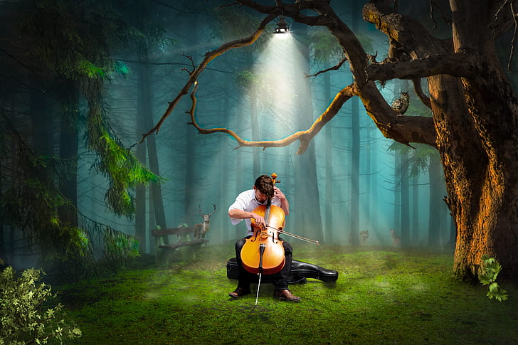 man playing viola in forest