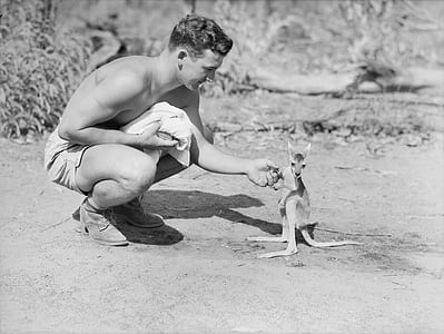 man sitting in front of kangaroo during daytime
