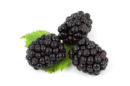 three blackberries closeup photo