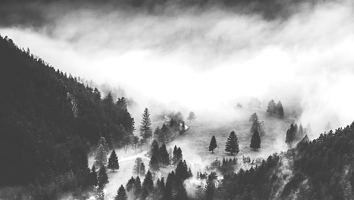 grayscale photo of misty valley