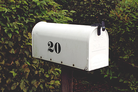 white and black mailbox near green plants