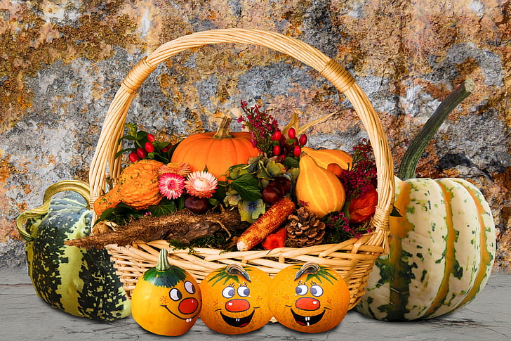 illustration of fruit basket