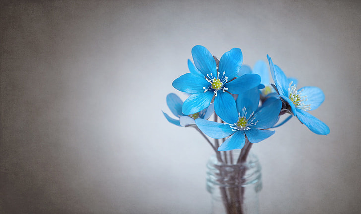 blue 6-petaled flowers in glass bottle