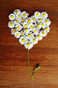 close up photo of white petaled flowers forming heart