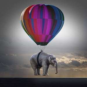 gray elephant with hot air balloon