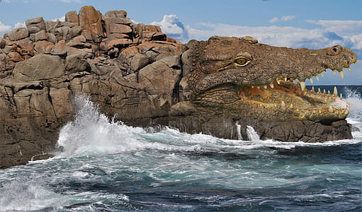 crocodile-themed rock formations during daytime