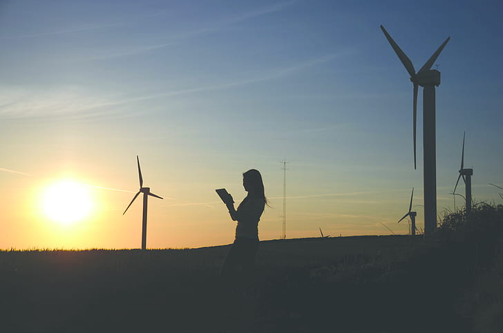 Silhouette Of Woman Holding Book Near Windmills
