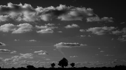 Silhouette of Trees Under Nimbus Clouds during Daytime