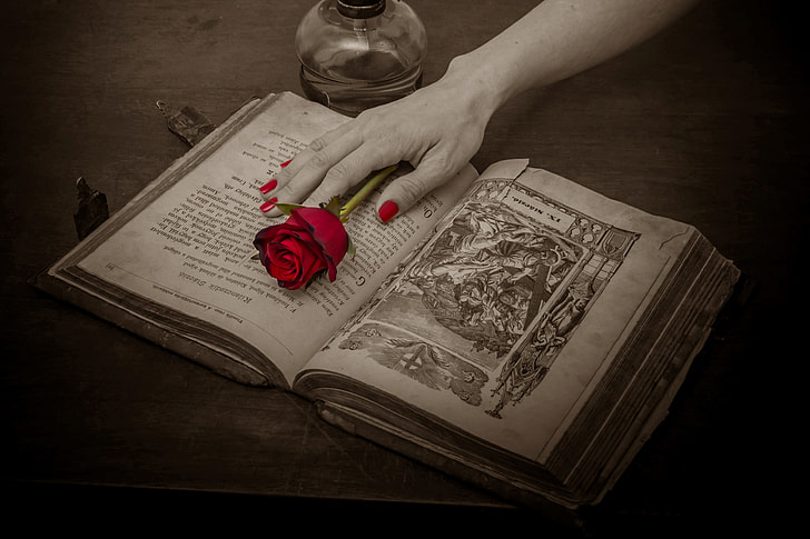 person's hand on book with re rose