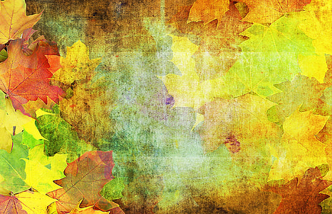 multicolored maple leaves background