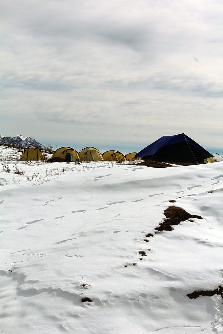 blue and yellow tents camping on snow field at daytime