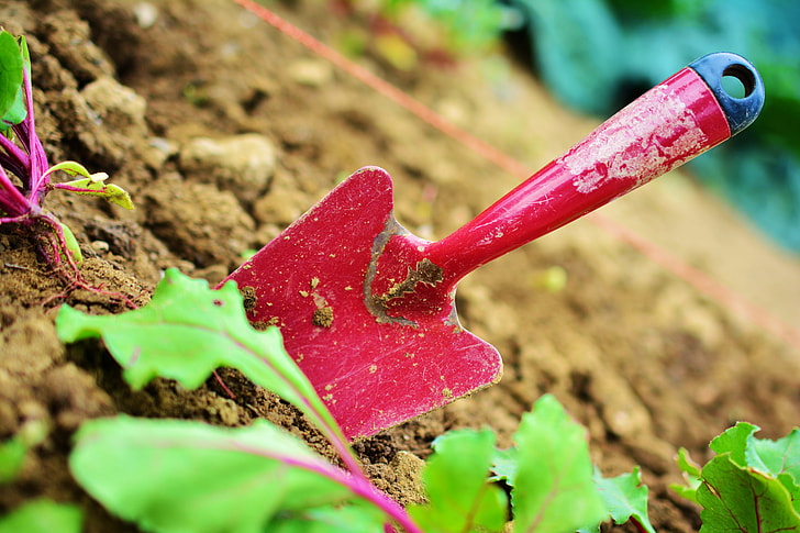 red trowel on soil