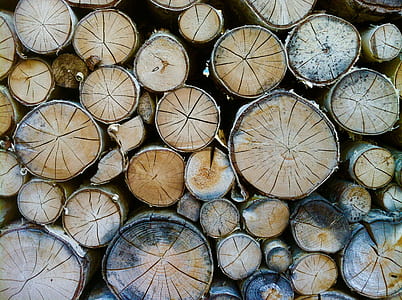 brown tree logs