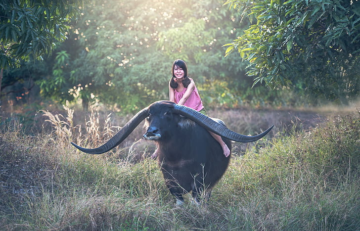 woman wearing pink sleeveless top riding water buffalo