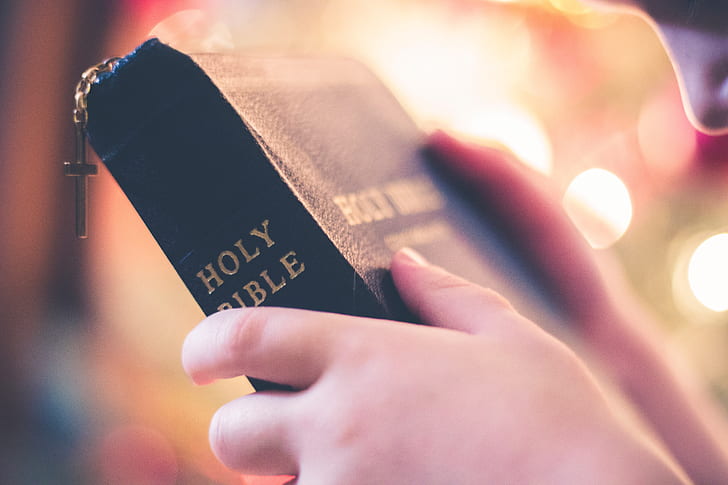 person holding Holy Bible book