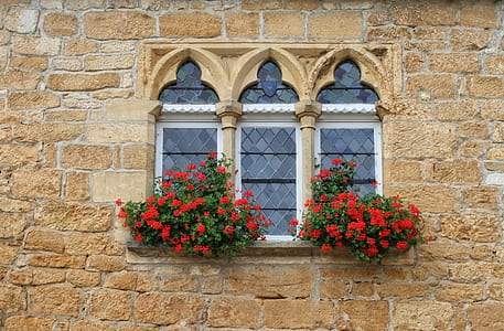 front view of closed window with red flowers in pots