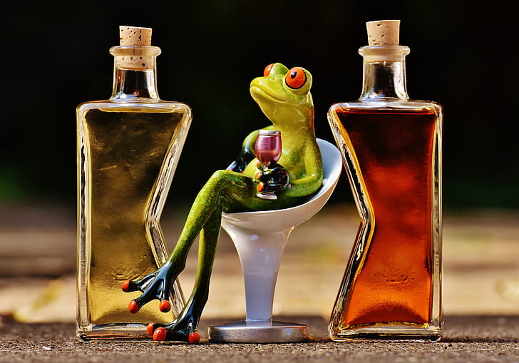 selective focus photography of frog holding wine glass while sitting