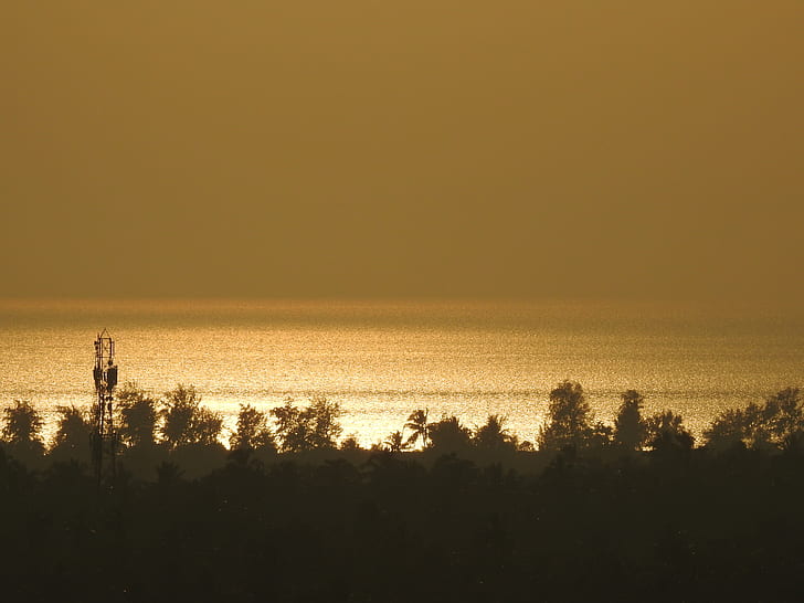 landscape photo of seashore near trees during golden hour
