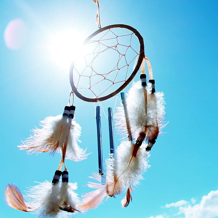 black and white feather dreamcatcher during daytime